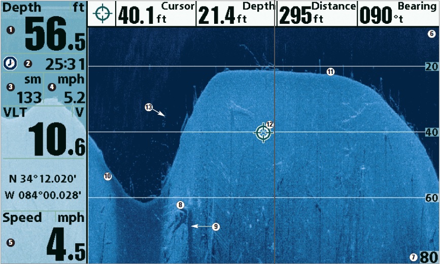 Humminbird Down Imaging szonárkép