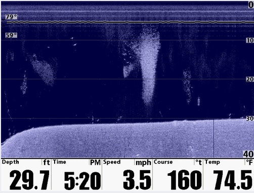 Humminbird Down Imaging Baitfish szonárkép