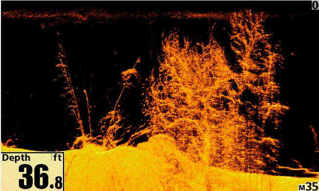 Humminbird Down Imaging szonárkép